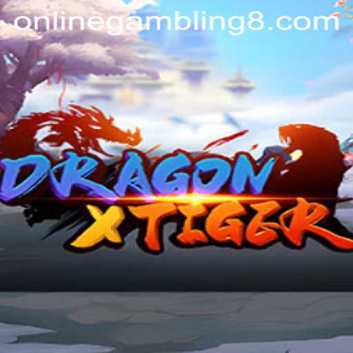 DragonXTiger: An Inside Look at the Online Gambling Sensation